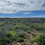 Property photo for land for sale in Dolores County Colorado