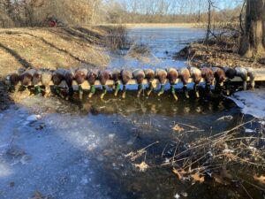 Property photo for land for sale in Barton County Missouri