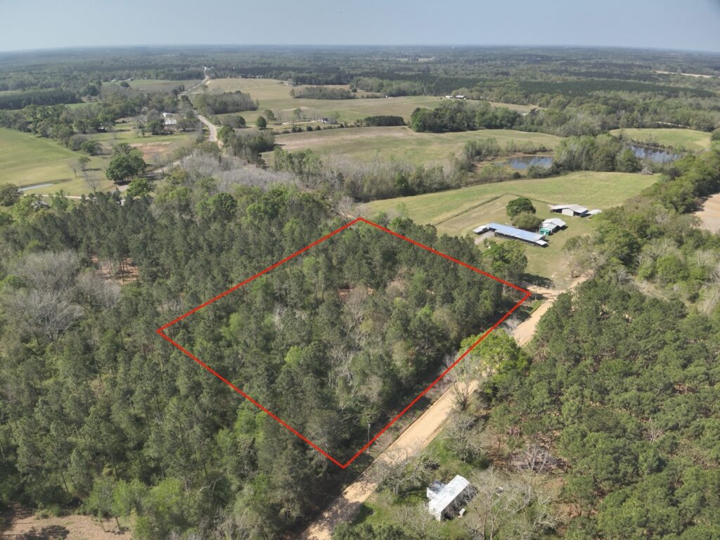 Property photo for land for sale in Geneva County Alabama