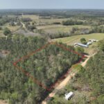 Property photo for land for sale in Geneva County Alabama