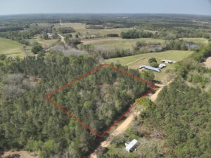 Property photo for land for sale in Geneva County Alabama