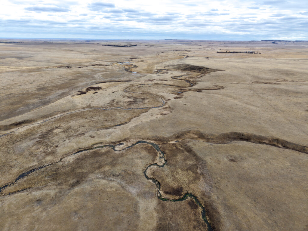 Property photo for land for sale in Sheridan County Montana