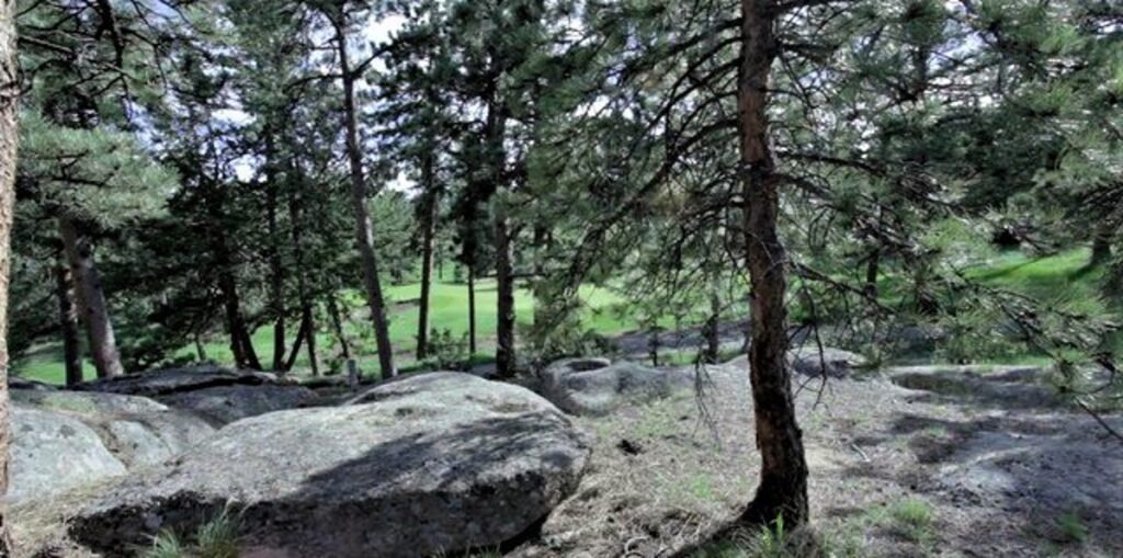 Property photo for land for sale in Larimer County Colorado