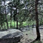 Property photo for land for sale in Larimer County Colorado