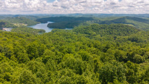 Property photo for land for sale in Claiborne County Tennessee