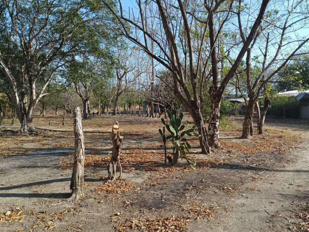 Property photo for land for sale in County Panama