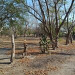 Property photo for land for sale in  County Panama