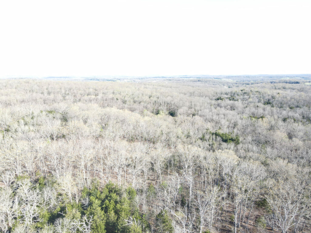Property photo for land for sale in St. Clair County Missouri