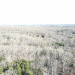 Property photo for land for sale in St. Clair County Missouri