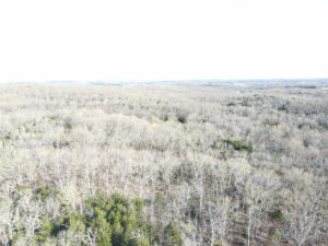 Property photo for land for sale in St. Clair County Missouri