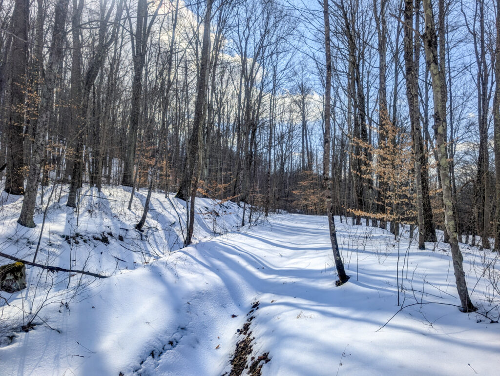 Property photo for land for sale in Washington County Ohio