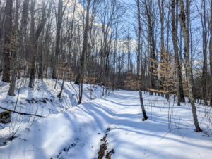 Property photo for land for sale in Washington County Ohio