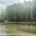 Property photo for land for sale in Pushmataha County Oklahoma