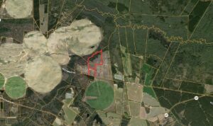 Property photo for land for sale in Barnwell County South Carolina