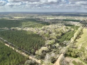 Property photo for land for sale in Holmes County Florida