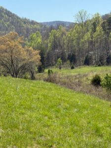 Property photo for land for sale in Hawkins County Tennessee