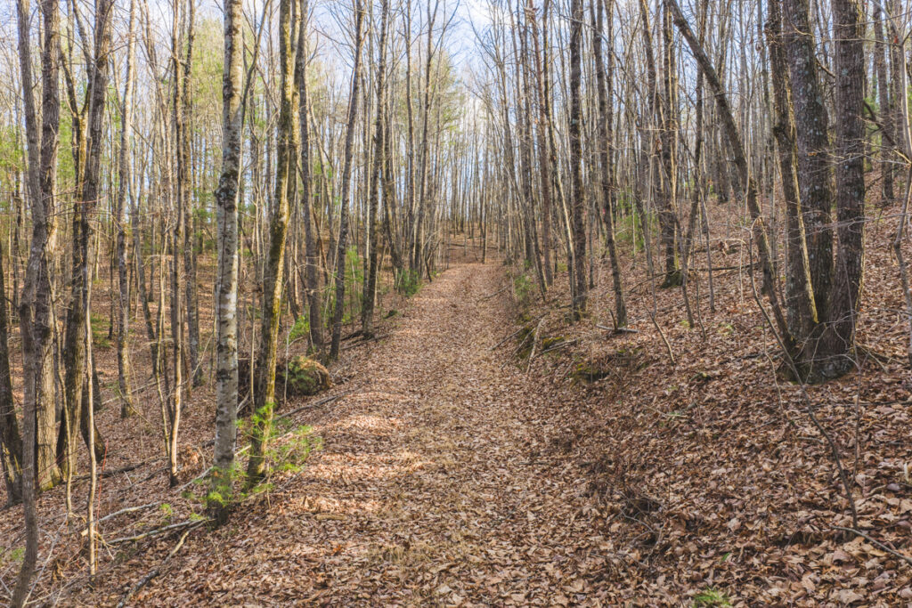 Property photo for land for sale in Alexander County North Carolina