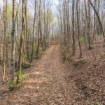 Property photo for land for sale in Alexander County North Carolina