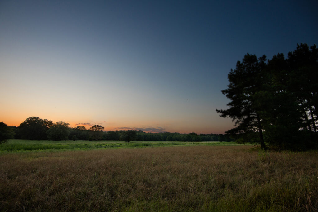 Property photo for land for sale in Upshur County Texas