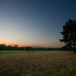 Property photo for land for sale in Upshur County Texas