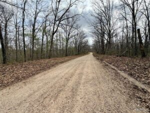 Property photo for land for sale in Dent County Missouri