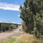 Property photo for land for sale in Ouray County Colorado