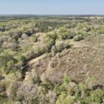 Property photo for land for sale in Geneva County Alabama