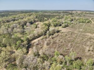 Property photo for land for sale in Geneva County Alabama