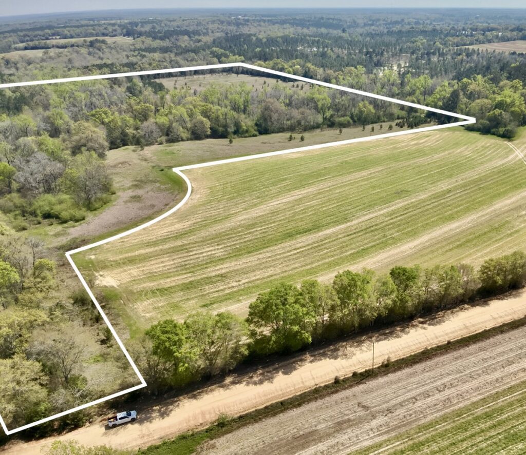 Property photo for land for sale in Houston County Alabama