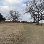 Property photo for land for sale in Marquette County Wisconsin