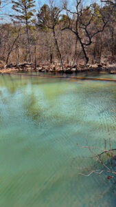 Property photo for land for sale in Pushmataha County Oklahoma