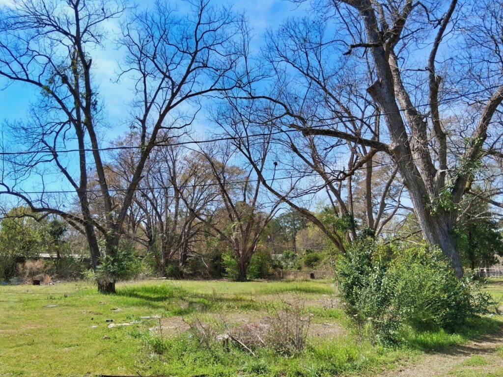 Property photo for land for sale in Darlington County South Carolina