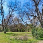 Property photo for land for sale in Darlington County South Carolina