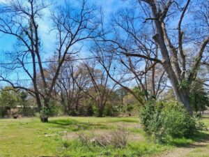 Property photo for land for sale in Darlington County South Carolina