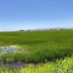 Property photo for land for sale in Yolo County California