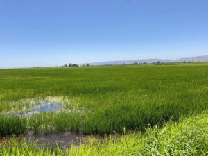 Property photo for land for sale in Yolo County California