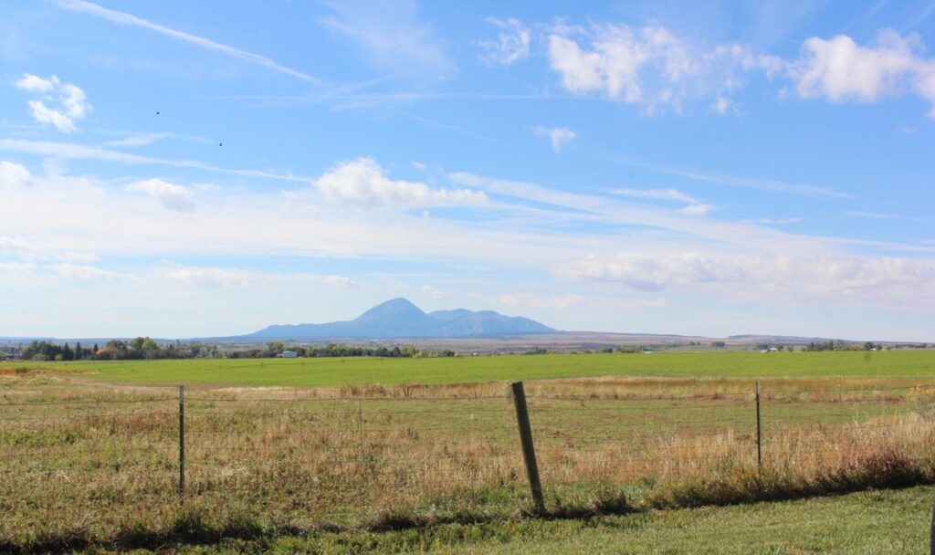 Property photo for land for sale in Montezuma County Colorado