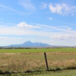 Property photo for land for sale in Montezuma County Colorado