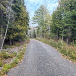Property photo for land for sale in Penobscot County Maine