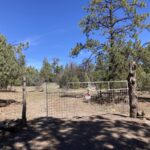 Property photo for land for sale in Rio Arriba County New Mexico