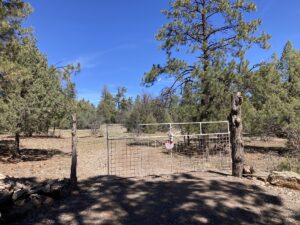 Property photo for land for sale in Rio Arriba County New Mexico