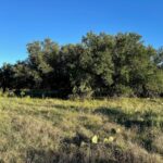 Property photo for land for sale in Brown County Texas