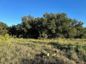 Property photo for land for sale in Brown County Texas