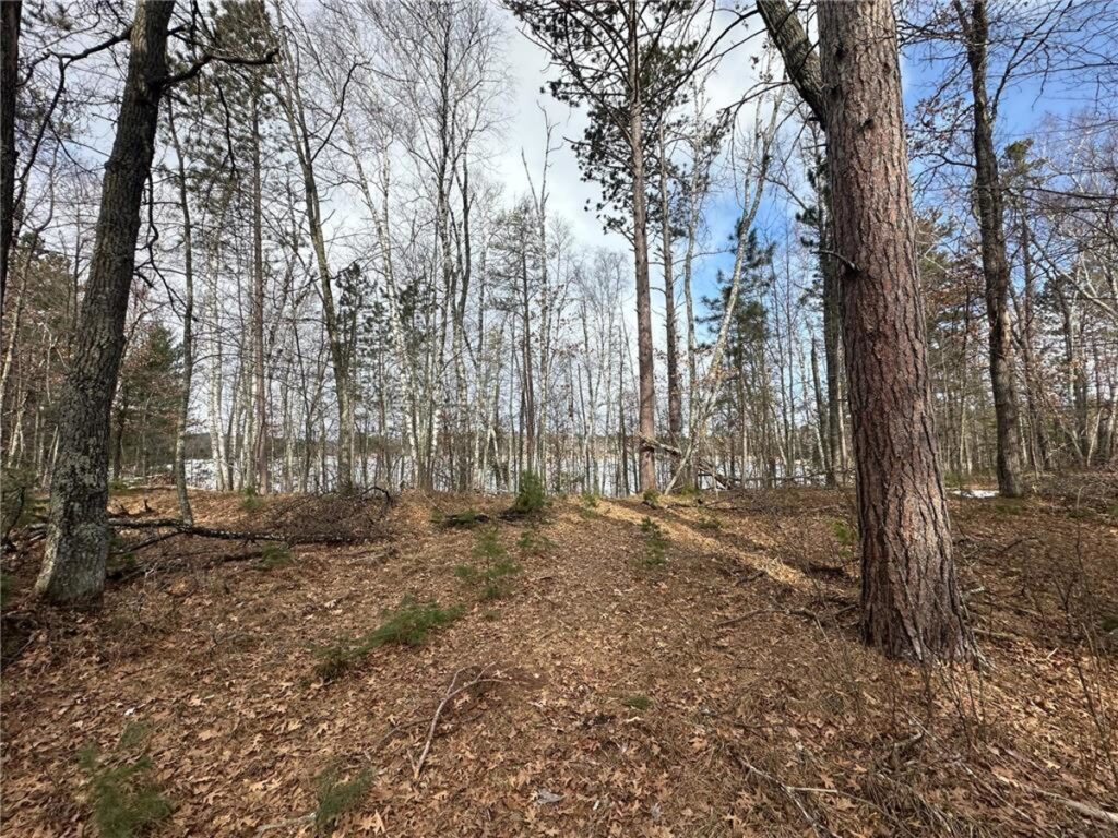 Property photo for land for sale in Pine County Minnesota