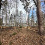 Property photo for land for sale in Pine County Minnesota