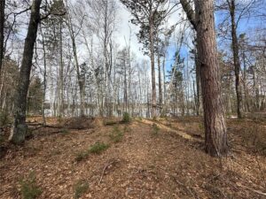 Property photo for land for sale in Pine County Minnesota