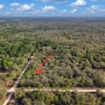 Property photo for land for sale in Levy County Florida