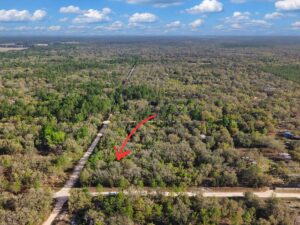 Property photo for land for sale in Levy County Florida