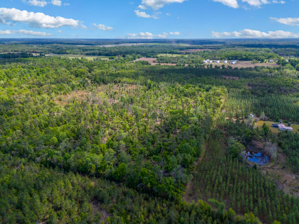 Property photo for land for sale in Suwannee County Florida