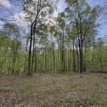 Property photo for land for sale in  County Tennessee